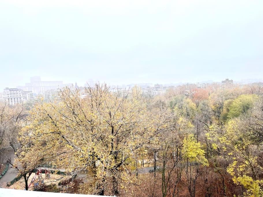 Apartament Panoramic Lil' Paris Bukareszt Zewnętrze zdjęcie